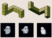 3d block shapes and faces