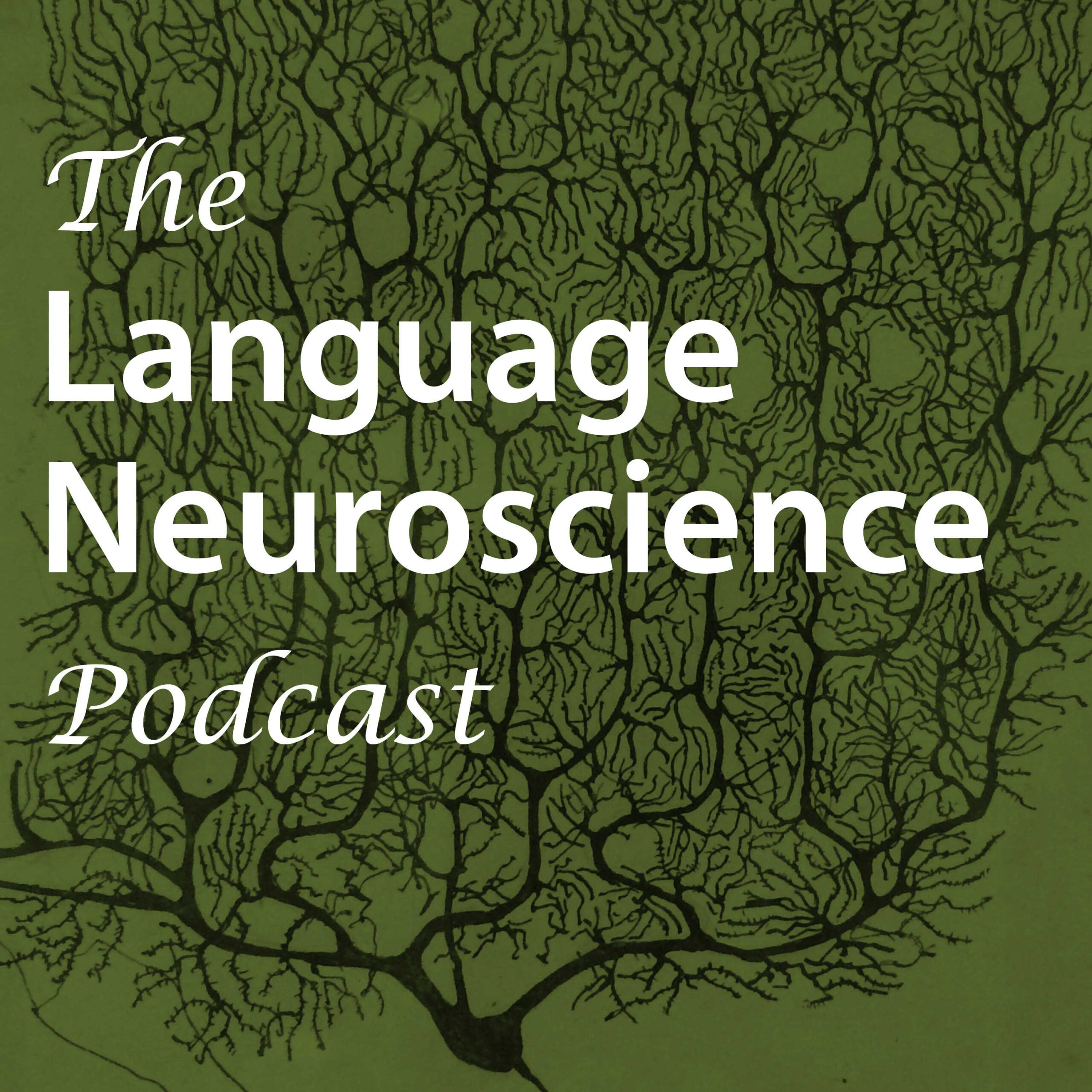 Sign language and the brain with Karen Emmorey on The Language Neuroscience Podcast hosted by Neuroscientist Stephen Wilson. Transcripts available.